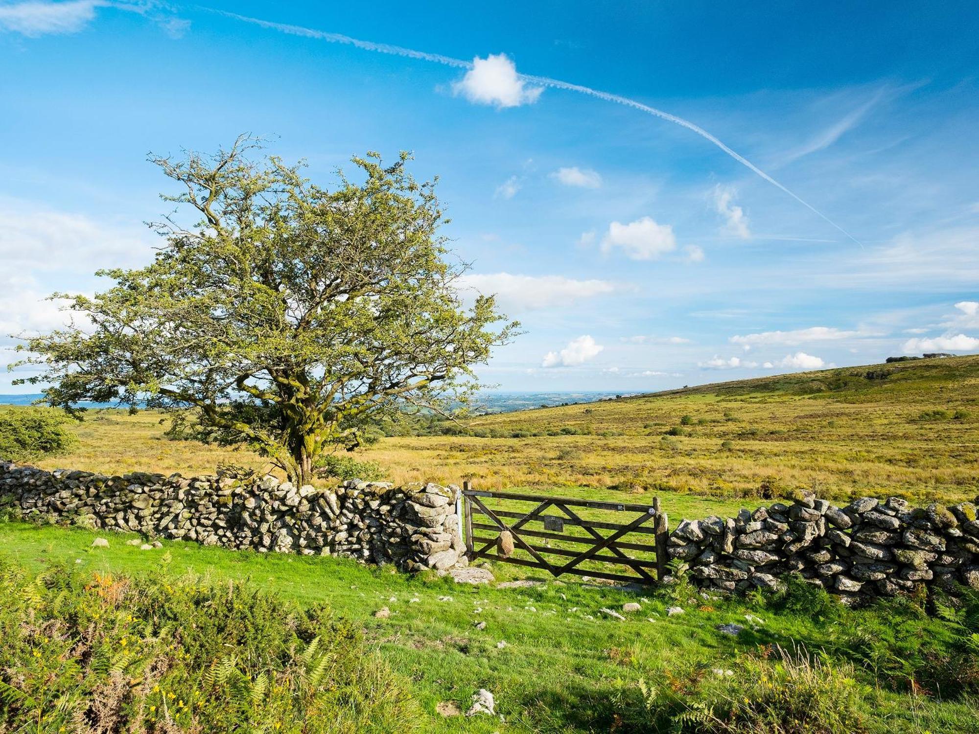 Chapel Cottage Lydford Buitenkant foto